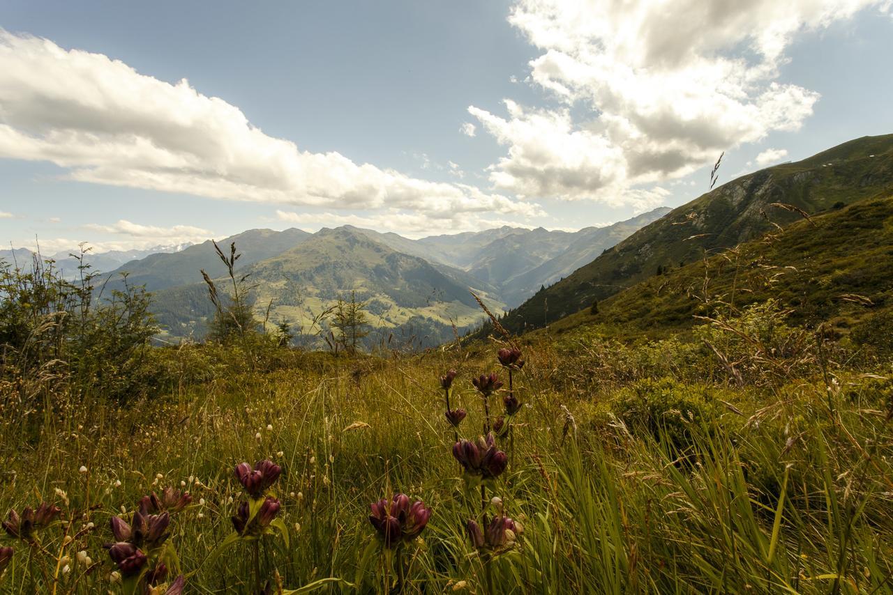 Apart Sprenger Fuegen Im Zillertal Fügen Exterior foto